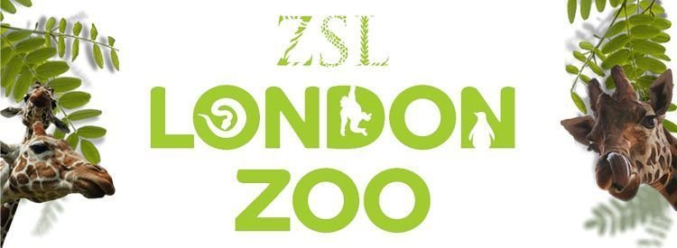 London Zoo Store